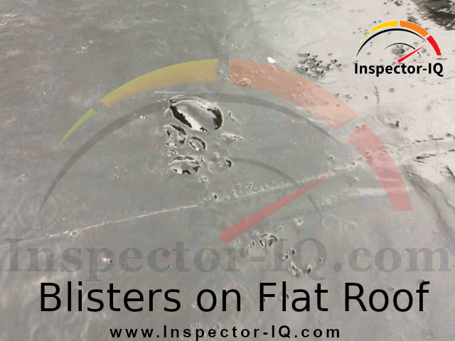 Flat Roof Blisters 1
