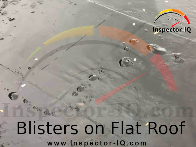 Flat Roof Blisters 2