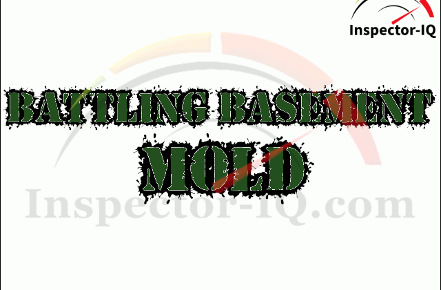 Battling Basement Mold